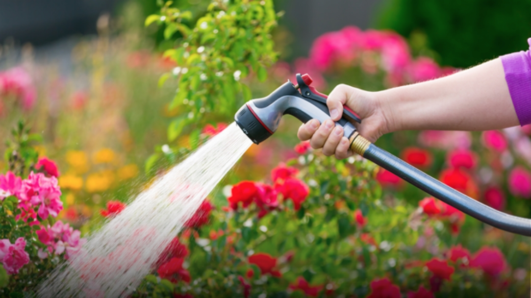 Kompleti za rabo deževnice na vrtu